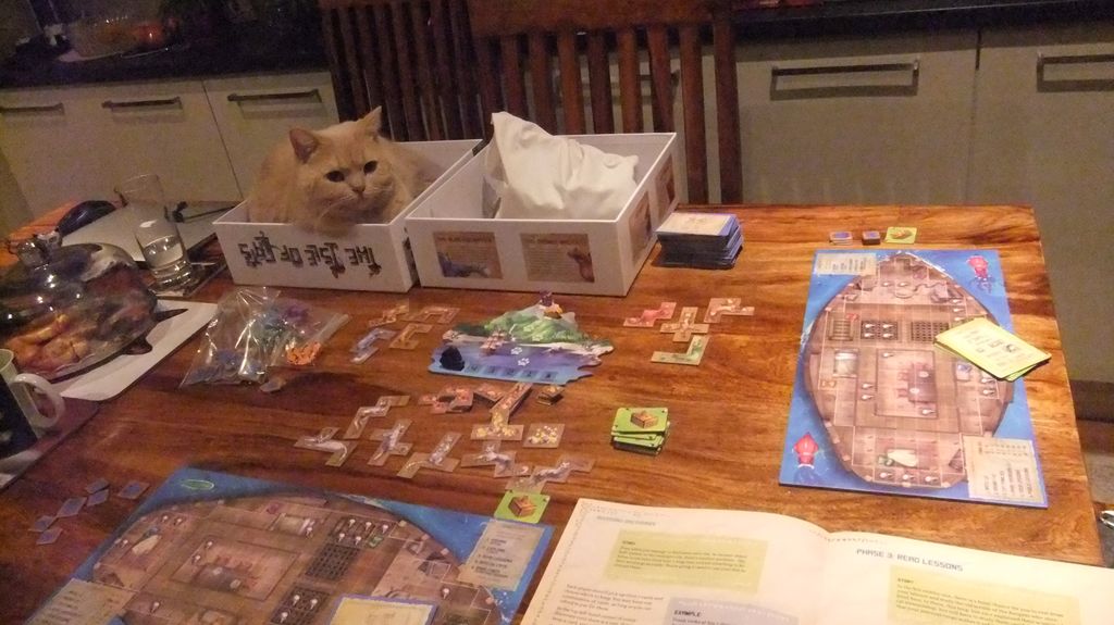 The Isle of Cats - The game is being supervised by Cecil - Credit: Arnoldine