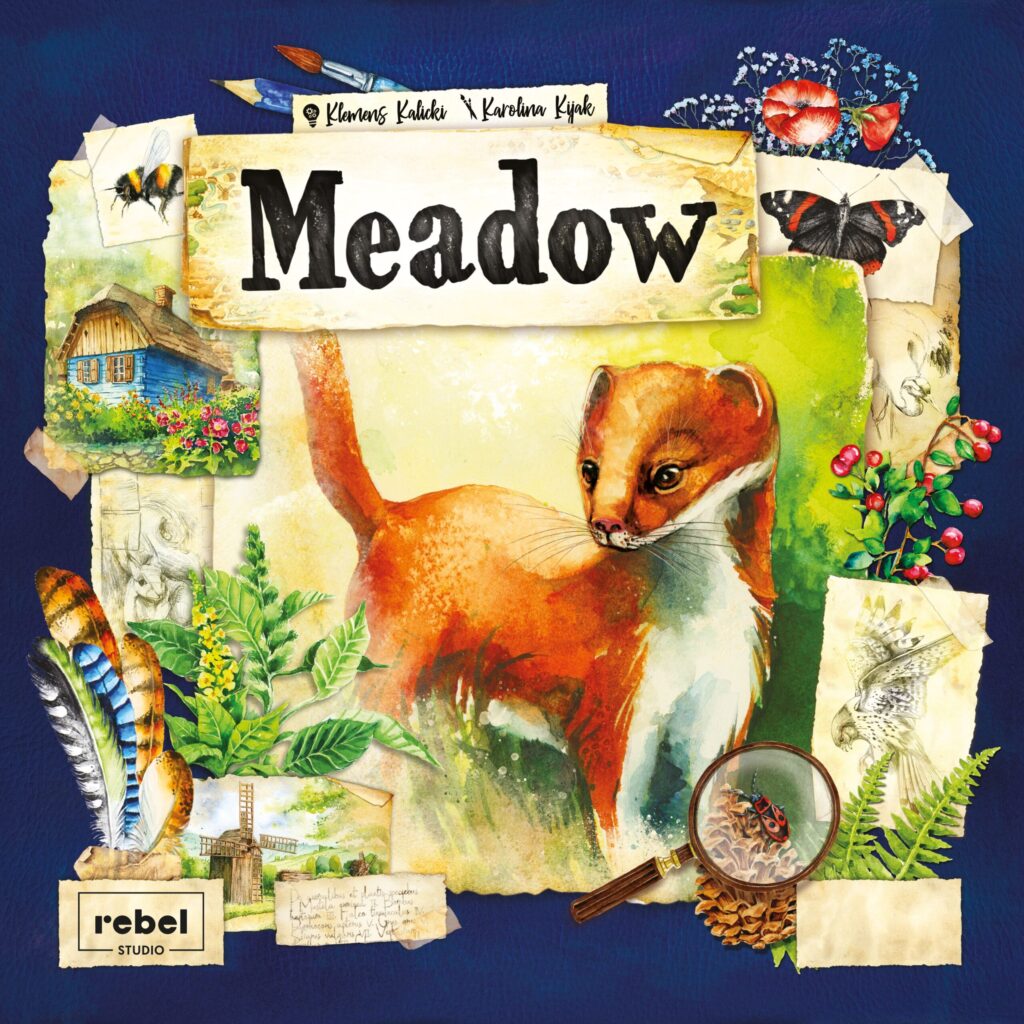 Meadow: Box Cover Front