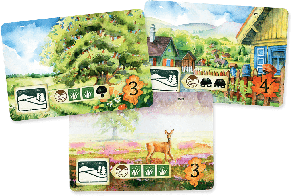 Meadow - Meadow, Rebel Studio, 2021 — sample cards (image provided by the publisher) - Credit: W Eric Martin