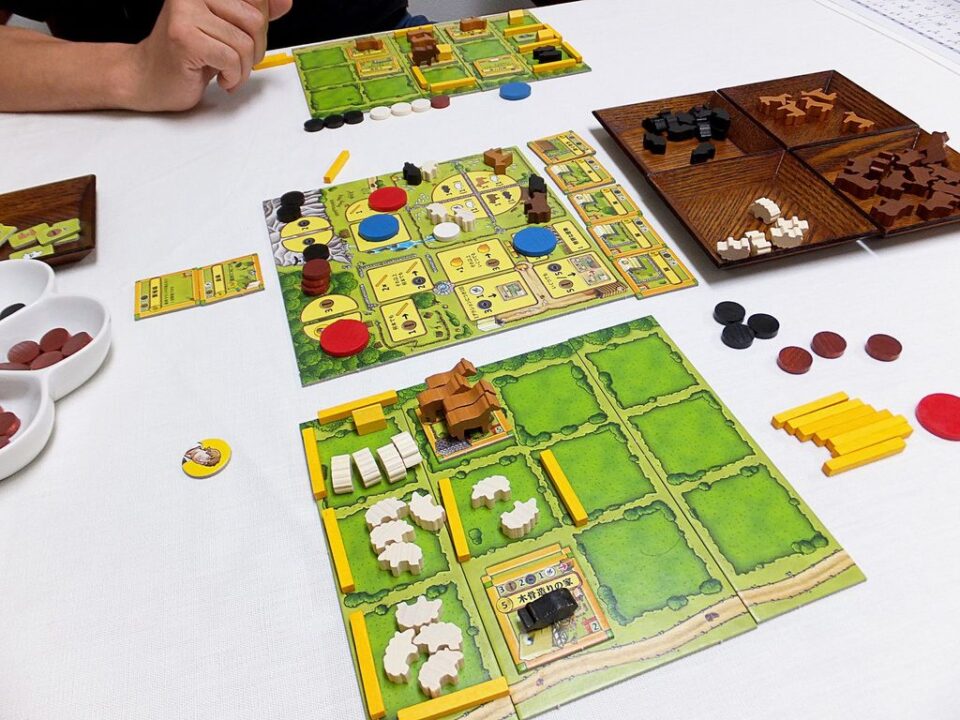 Agricola: All Creatures Big and Small - I played my first game of this with my friend. We had a really good time! - Credit: moonblogger