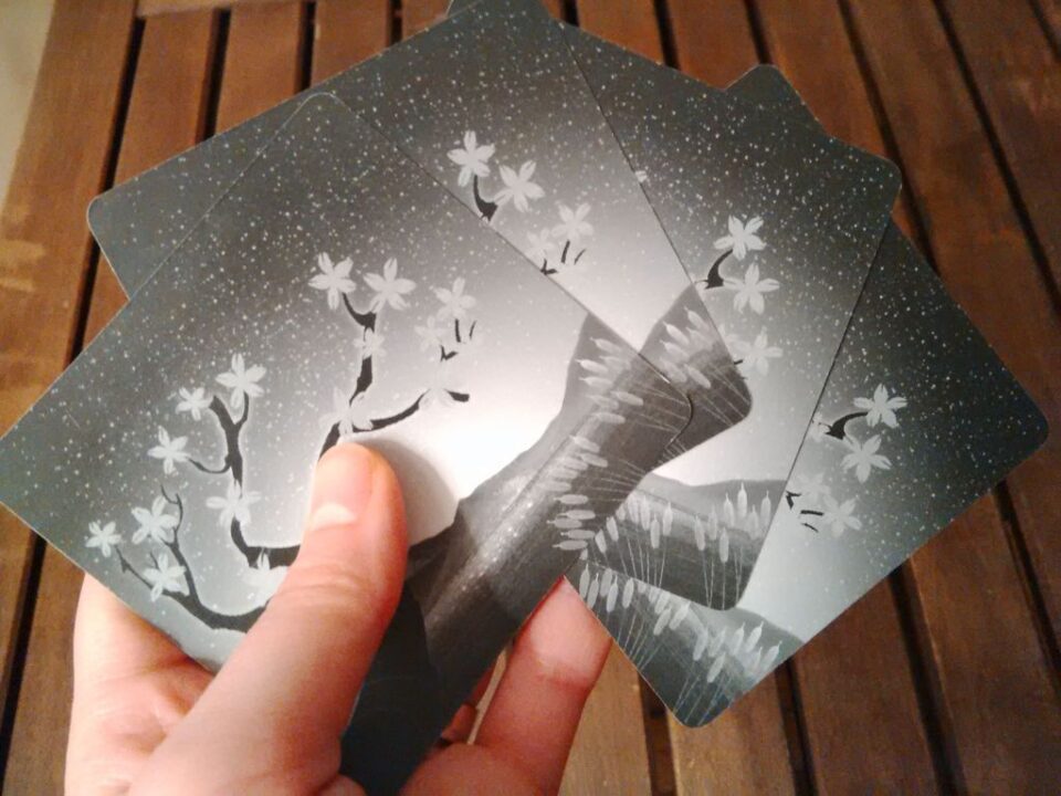 Hanabi - Back of the cards - Credit: dodecalouise