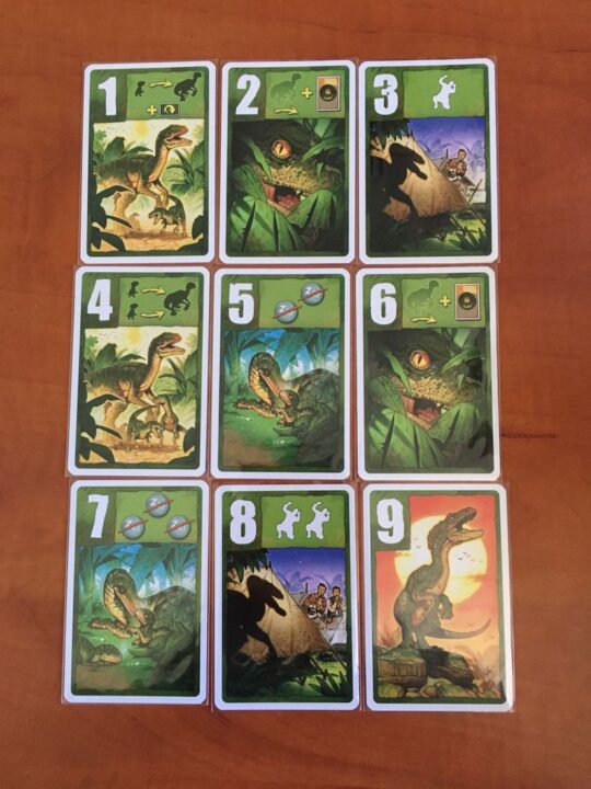 Raptor - Raptor cards - Credit: zgabor