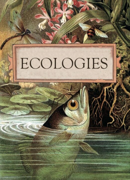 Ecologies cover