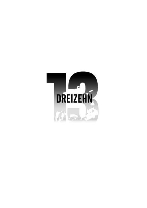 Dreizehn cover