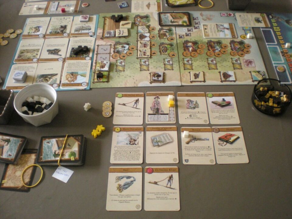 Castaways - Naufragés. French Iello edition. End of 4 players game in my corner. - Credit: Sada