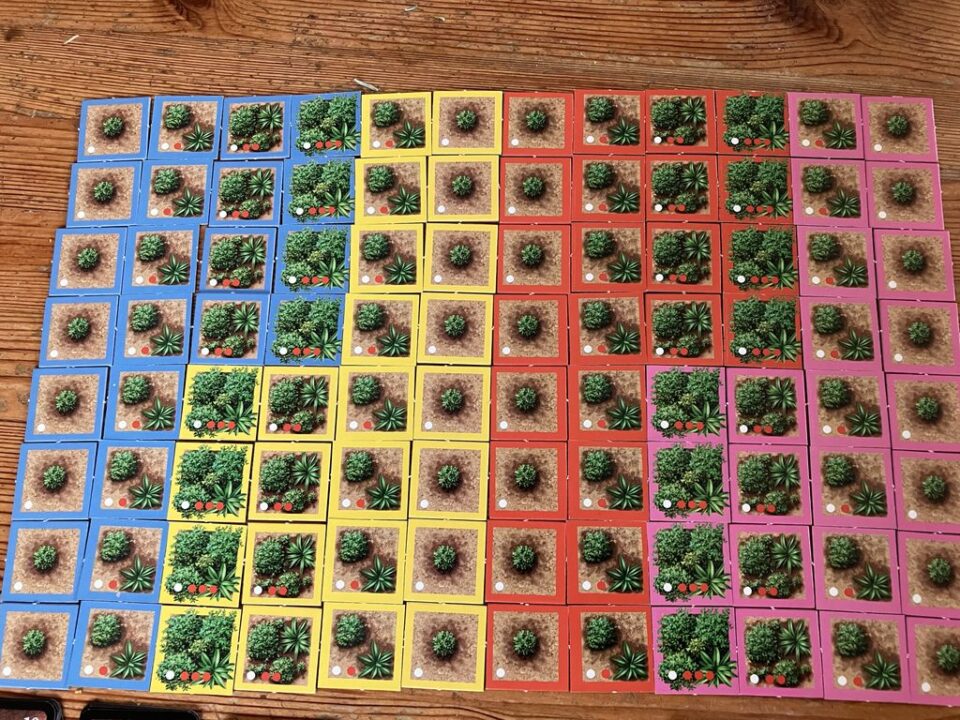 Eden - The 96 Tiles. 24 for each colour. 16x Level 1&2 (here shown both sides) and 8x Level 3&4. - Credit: Reinhard Sabel