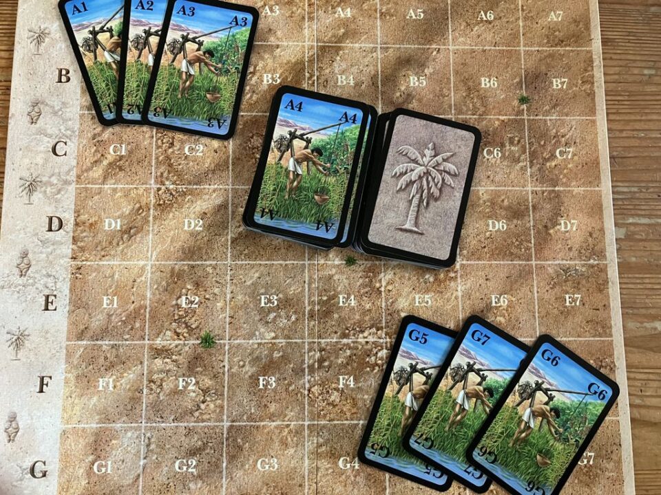Eden - Bewääserungs- Larten („Watering- Cards/Irrigation-Cards) to place a „starter“ tile (one white dot) on the Desert. Each space is represented from A1 - G7 - Credit: Reinhard Sabel