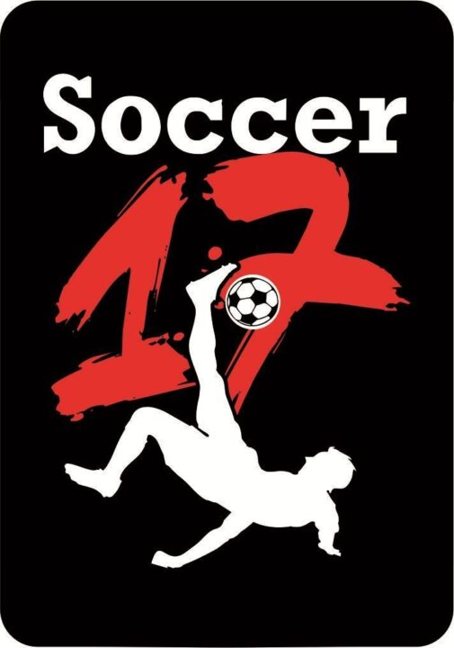 Soccer 17 cover
