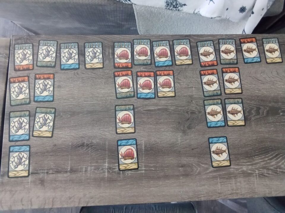 Boomerang - Boomerang Card Distribution 1 of 2 - Credit: BoardGamePotluck